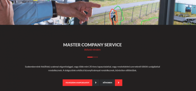 Master Company Service