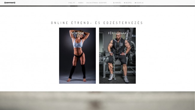 BodyfitShop